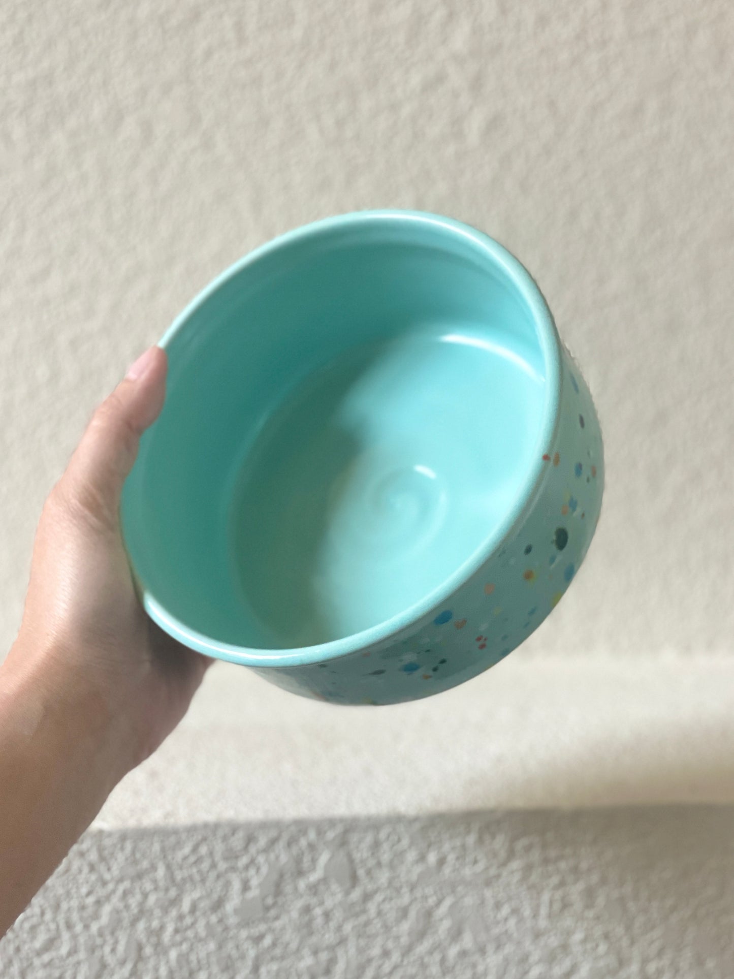 Confetti Pet Bowl - Seafoam 2